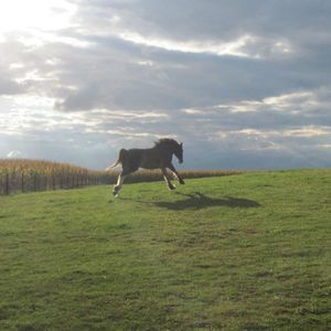 Meet your Posher, Stacie